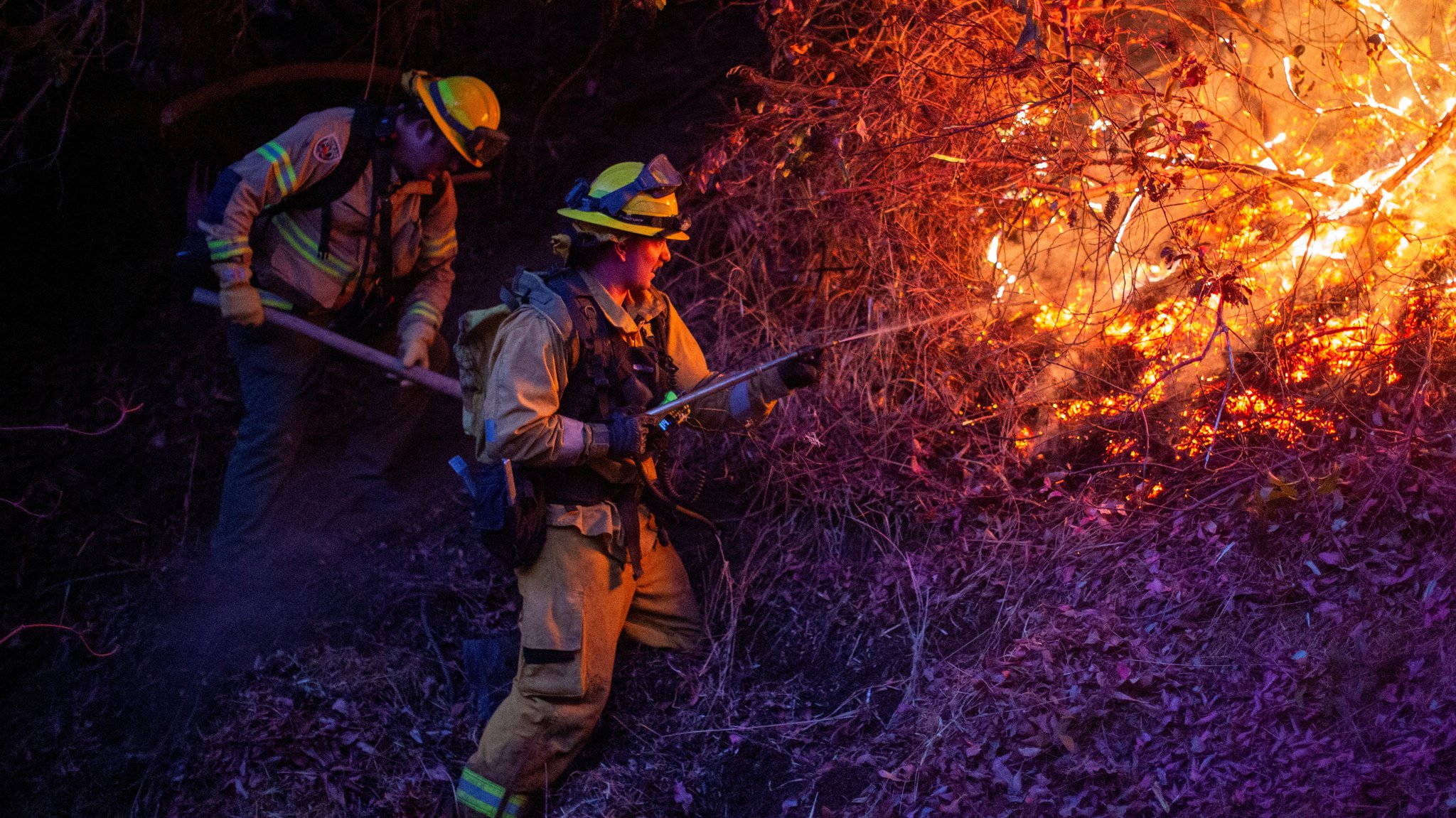 Feuerwehrleute im Kampf gegen die Flammen