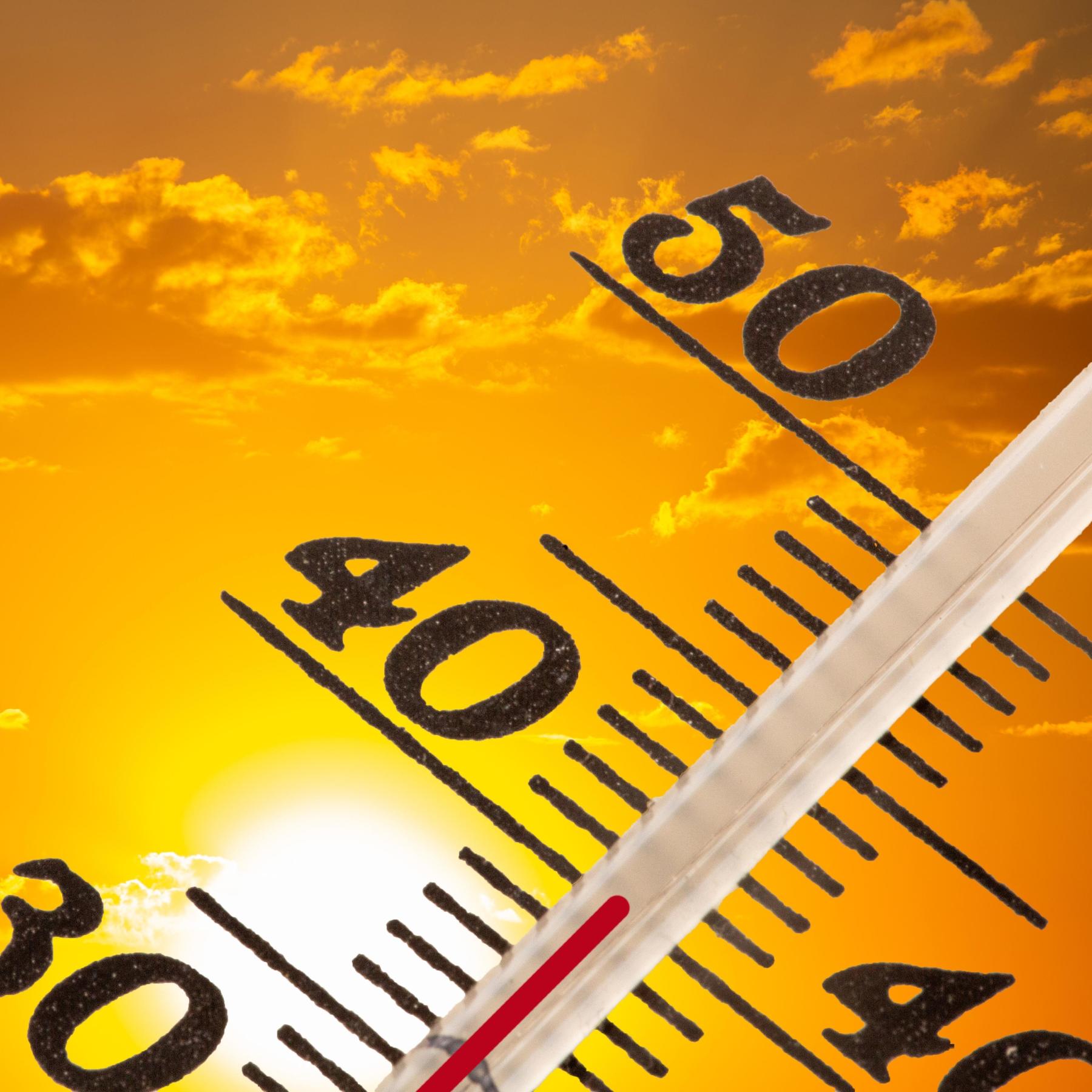 IQ - Wissenschaft schnell erzählt