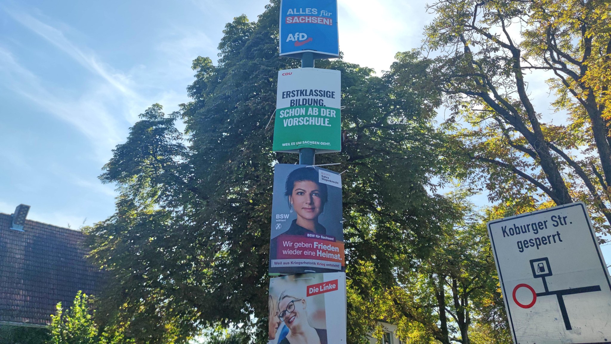 Wahlplakate zur Landtagswahl in Sachsen von AfD, CDU, BSW und Linke.