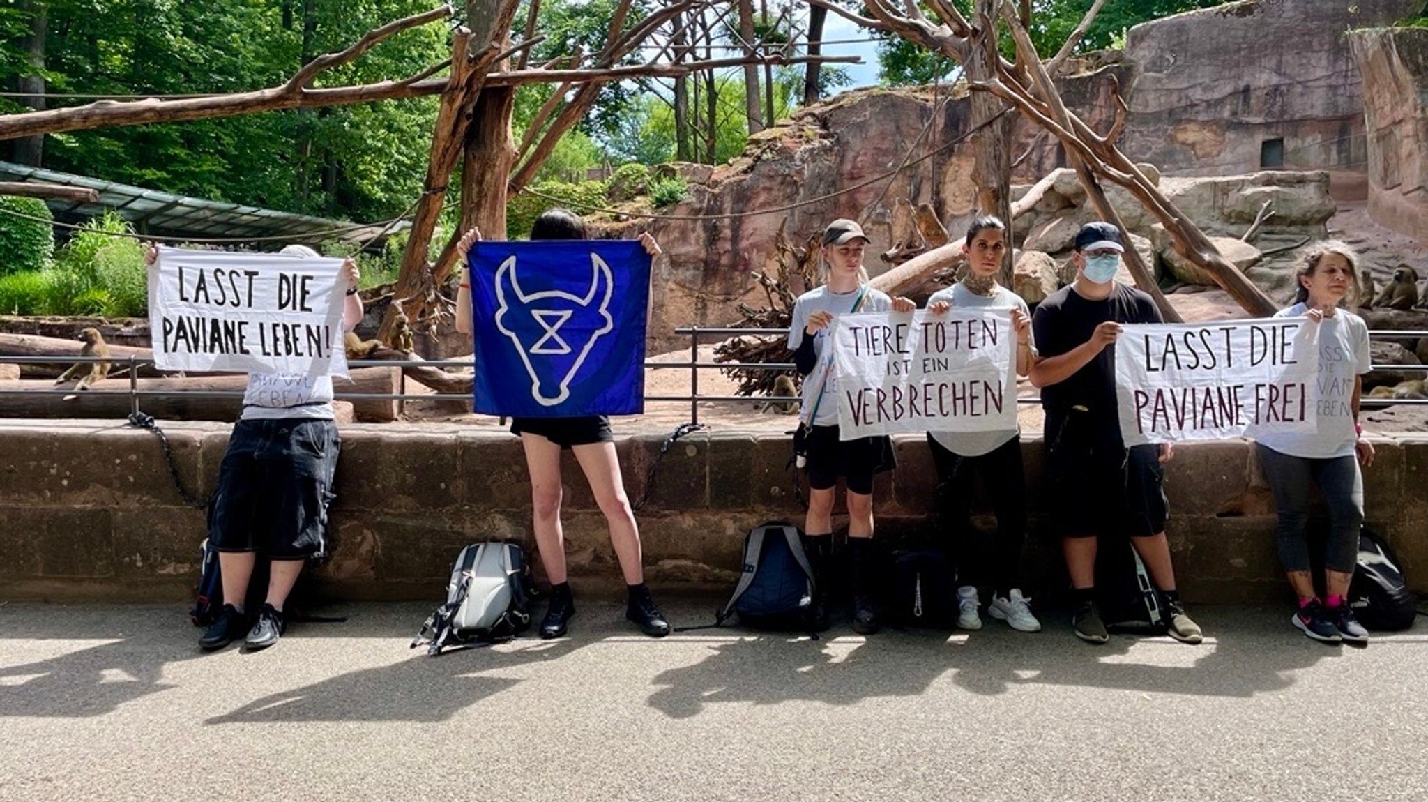 Vor einem Zoogehege stehen sechs Tierschutz-Aktivisten und halten Plakate in die Höhe. Darauf steht "Lasst die Paviane leben" und "Tiere töten ist ein Verbrechen". | Bild: BR / Lasse Berger Vor einem Zoogehege stehen sechs Tierschutz-Aktivisten und halten Plakate in die Höhe. Darauf steht "Lasst die Paviane leben" und "Tiere töten ist ein Verbrechen".