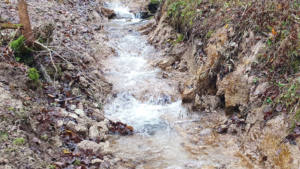 Der aufgebaggerte Eggerbach in einem Wald bei Tiefenstürmig. | Bild: Eva Schubert Der aufgebaggerte Eggerbach in einem Wald bei Tiefenstürmig.