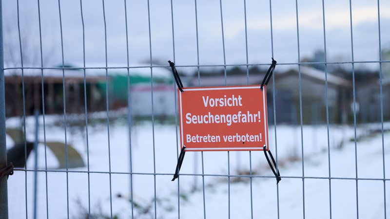"Vorsicht Seuchengefahr!" steht auf einem Schild an einem Betrieb in Mehrow. | Bild: picture alliance/dpa | Annette Riedl "Vorsicht Seuchengefahr!" steht auf einem Schild an einem Betrieb in Mehrow.