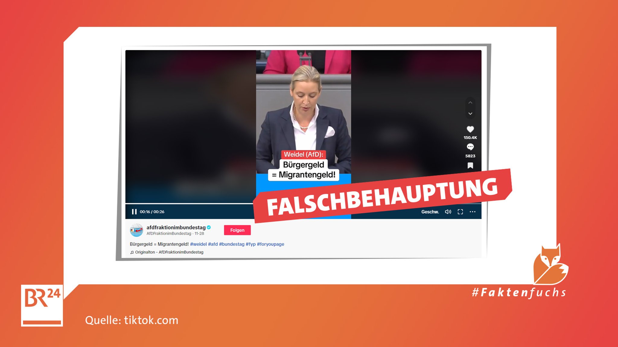 Ein Video-Ausschnitt von Alice Weidel (AfD) als Screenshot mit dem Stempel "Falschbehauptung".