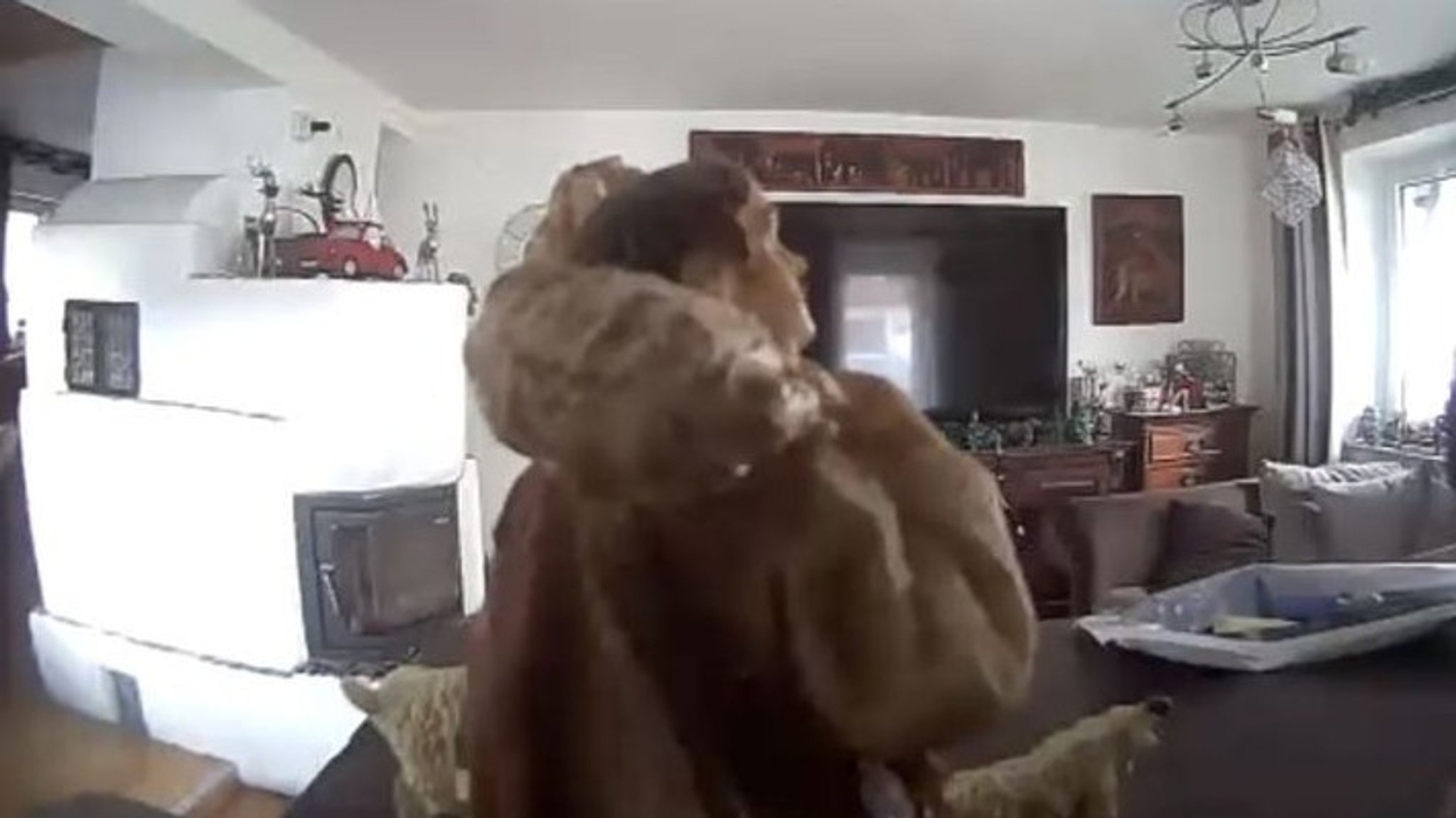 Das Bild einer Überwachungskamera | Bild: Polizei Mittelfranken Das Bild einer Überwachungskamera