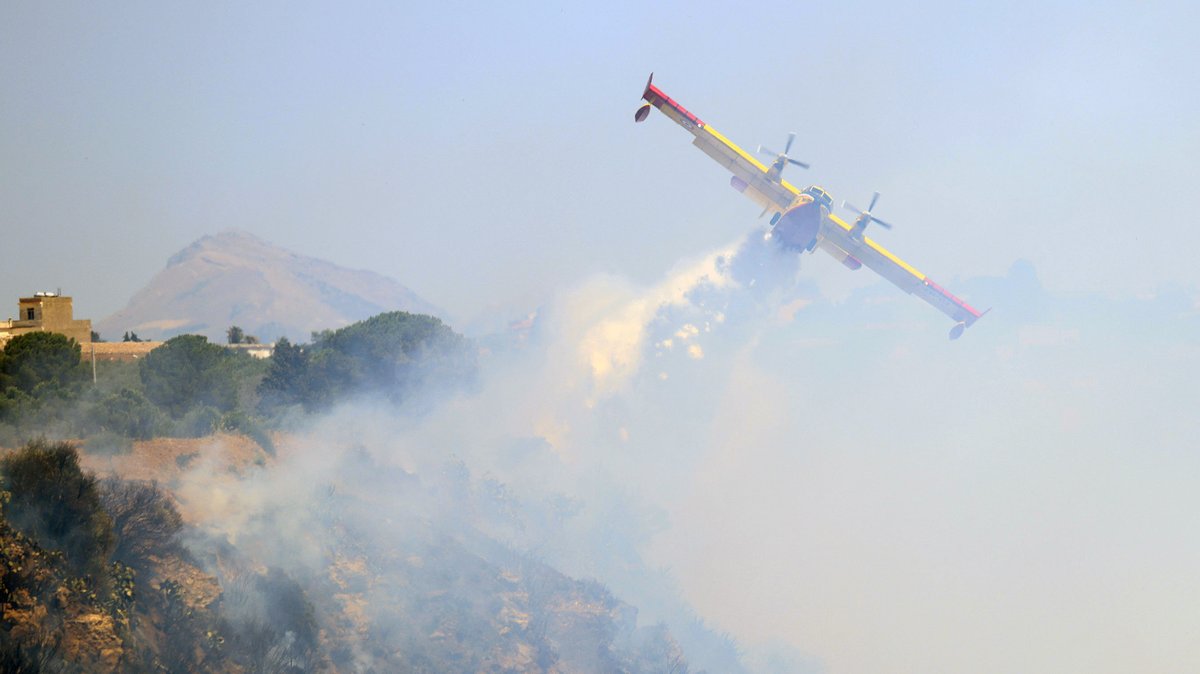 Waldbrand an der Adria: Mehr als 1.000 Touristen evakuiert