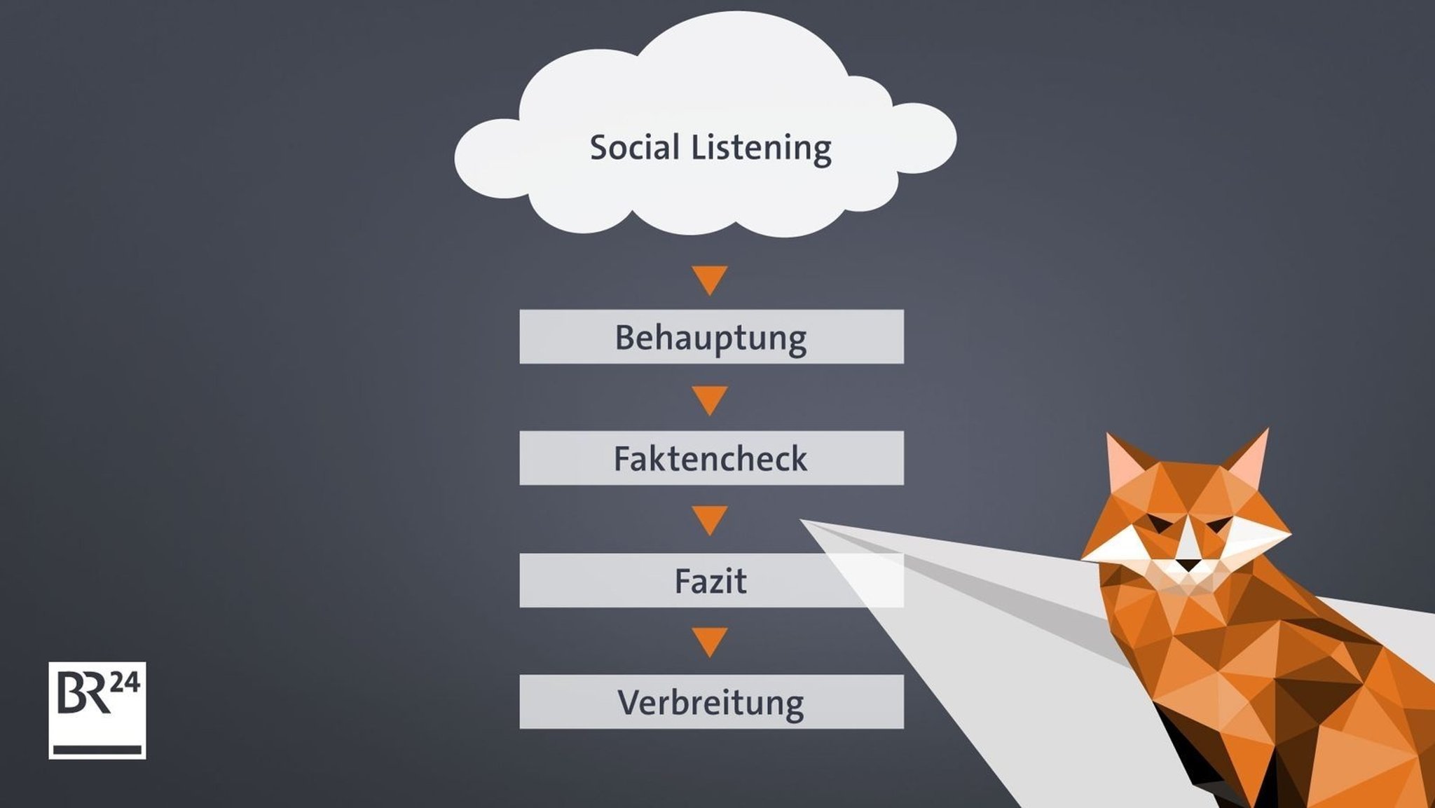 Die Arbeitsschritte beim #Faktenfuchs - vom Listening bis zur Verbreitung