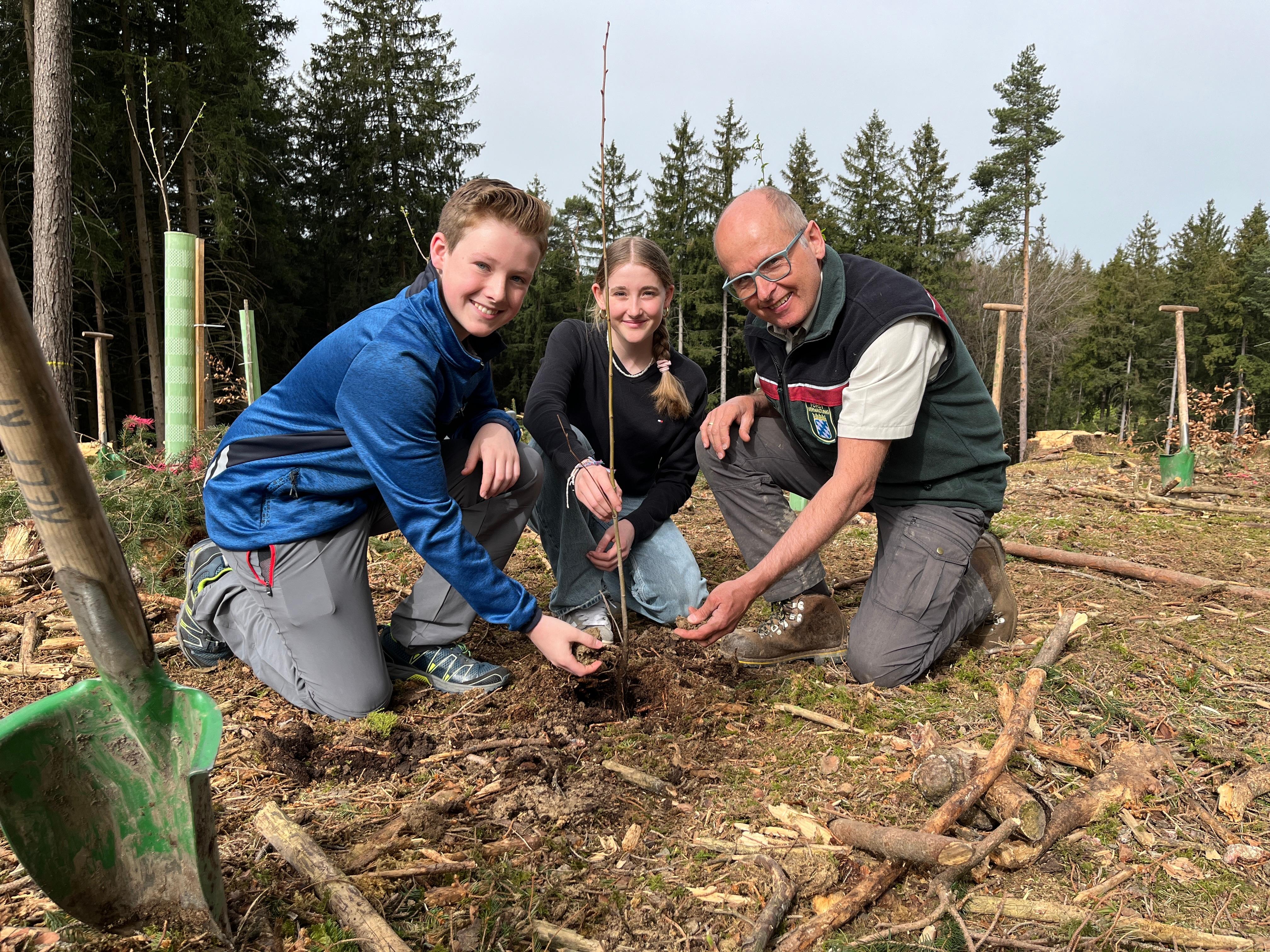 Felix und Katharina setzen gemeinsam mit Förster Frank Kroll einen Baum ein.
