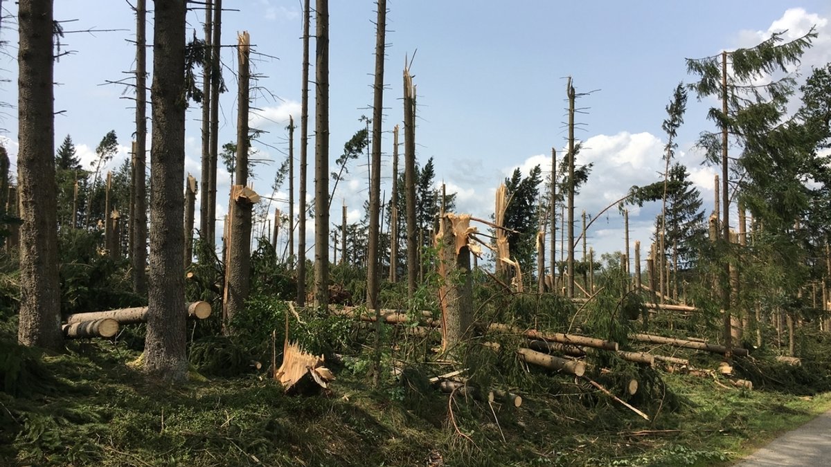 Betroffenes Waldstück im Landkreis Freyung-Grafenau mit abgebrochenen Bäumen. Schaden nach dem schweren Unwetter in Niederbayern.