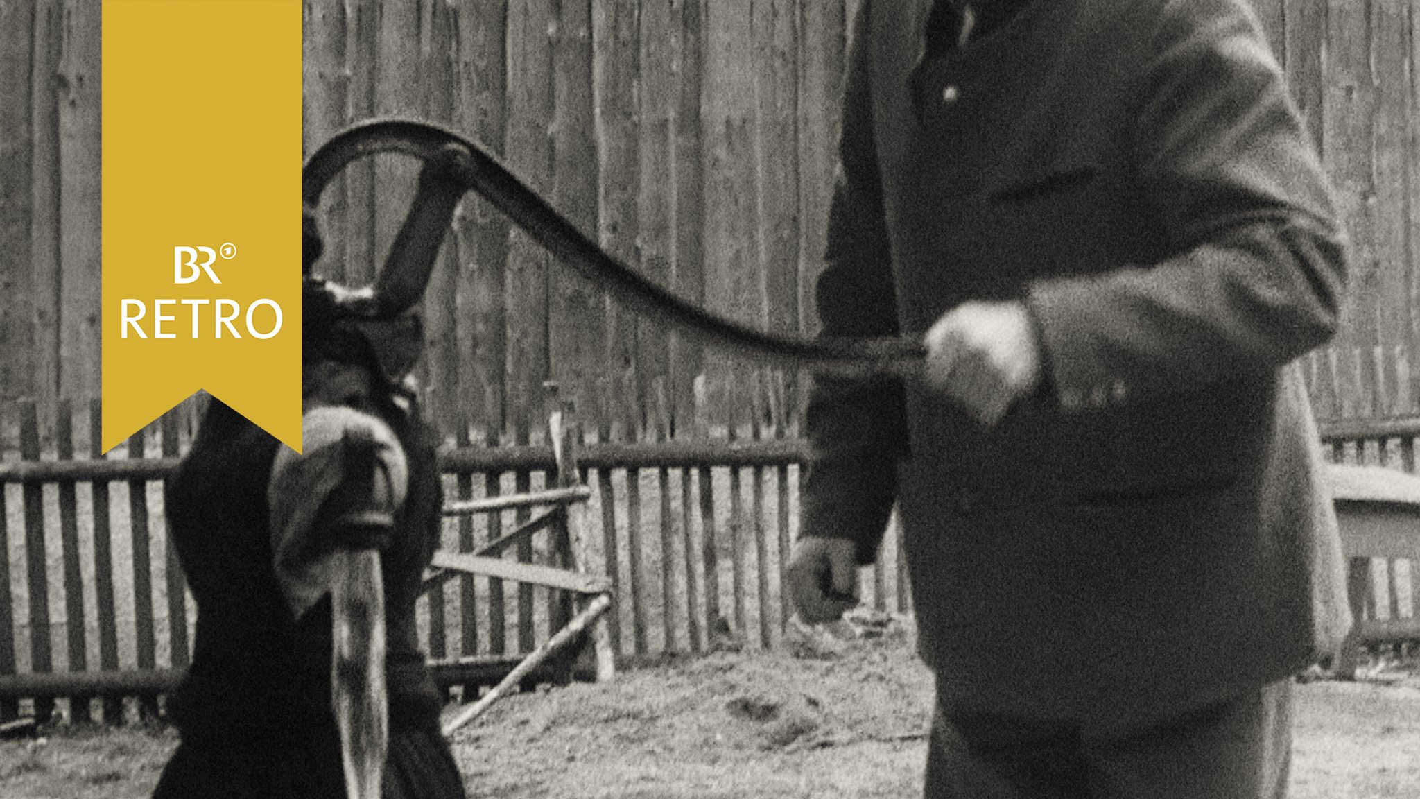 Verunreinigte Brunnen: Typhus-Epidemie in Sünching 1965