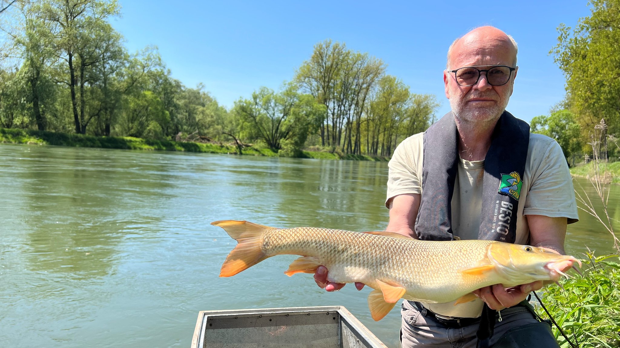 Fischmangel: Wie retten wir unsere Flüsse?