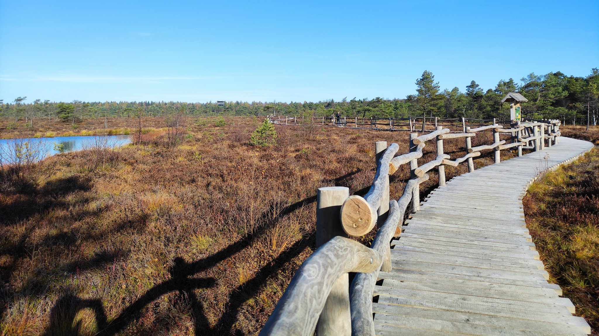 Blick vom Bohlensteg ins Schwarze Moor