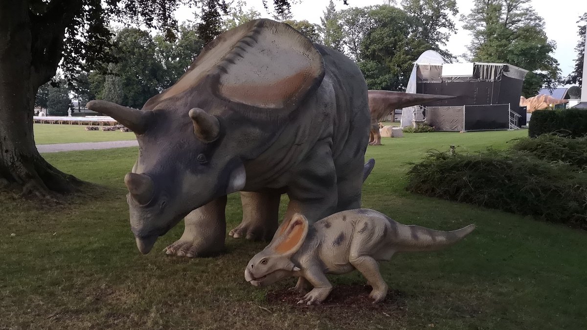 Tüßling: Dinosaurier-Baby gestohlen