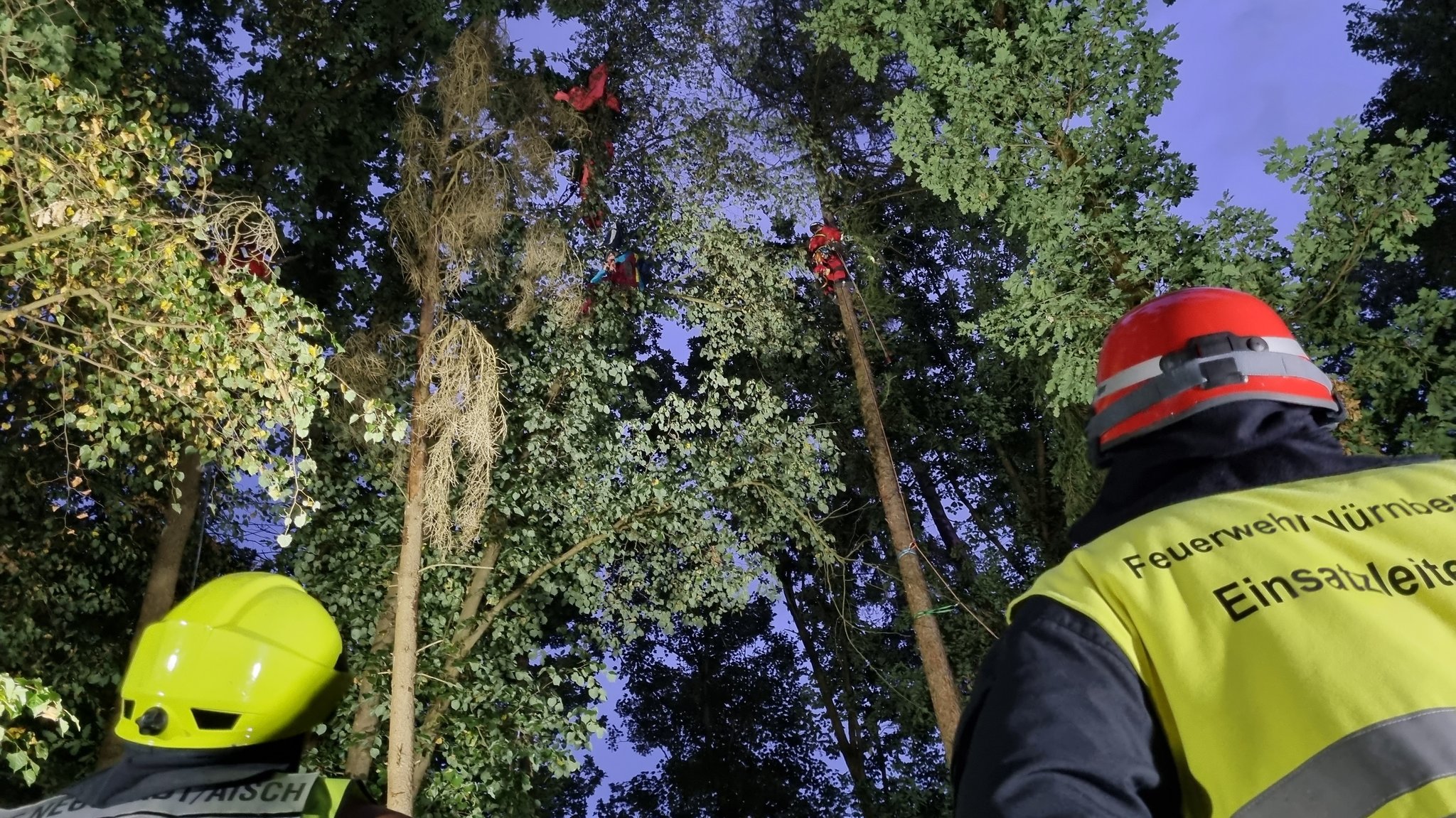 Feuerwehrleute in Warnwesten schauen zu einem Fallschirmspringer, der in einer Baumkrone hängt