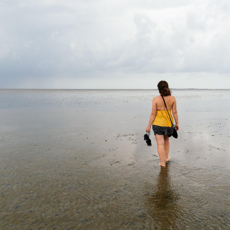 Weltnaturerbe Wattenmeer - Ökosystem im Wechsel von Flut und Ebbe - radioWissen | BR Podcast