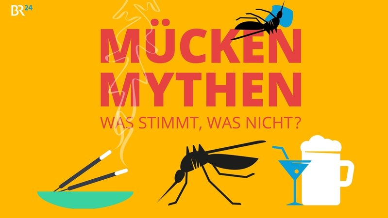Bild mit stilisierter Mücke und der Aufschrift: Mücken-Mythen - Was stimmt, was nicht?