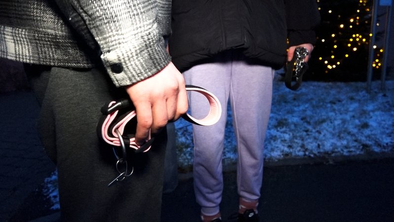 Es war ein Spaziergang mit tragischem Ausgang: In Schwarzenbach an der Saale waren am Sonntagabend zwei Spaziergänger mit der siebenjährigen Hündin Akita unterwegs, als das Tier plötzlich einen Stromschlag bekam. | Bild: News5 / Fricke Es war ein Spaziergang mit tragischem Ausgang: In Schwarzenbach an der Saale waren am Sonntagabend zwei Spaziergänger mit der siebenjährigen Hündin Akita unterwegs, als das Tier plötzlich einen Stromschlag bekam.