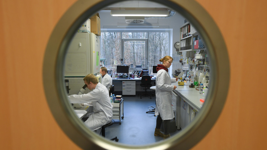 Mitarbeiter des Instituts für Virologie der Philipps-Universität Marburg arbeiten in einem Forschungslabor an der Entwicklung eines Impfstoffs gegen das Coronavirus.