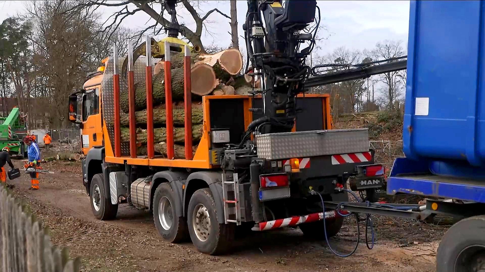 Ein Lkw mit Holz beladen beim Reichelsdorfer Keller.
