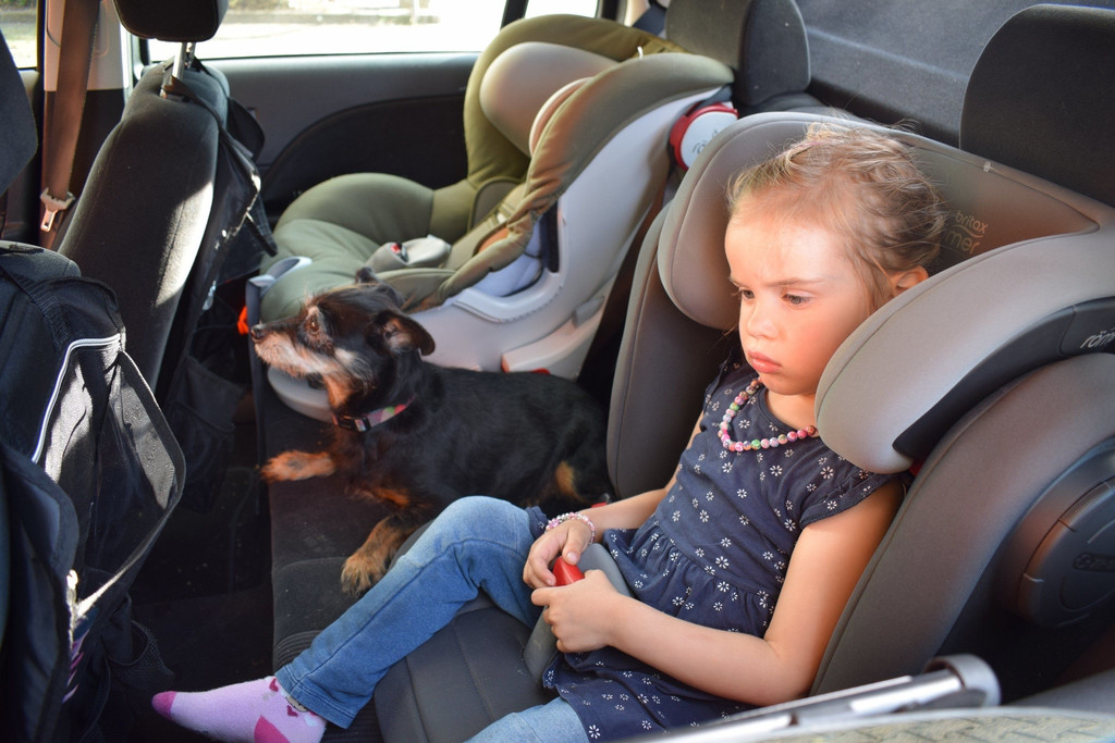 Kind und Hund im Auto