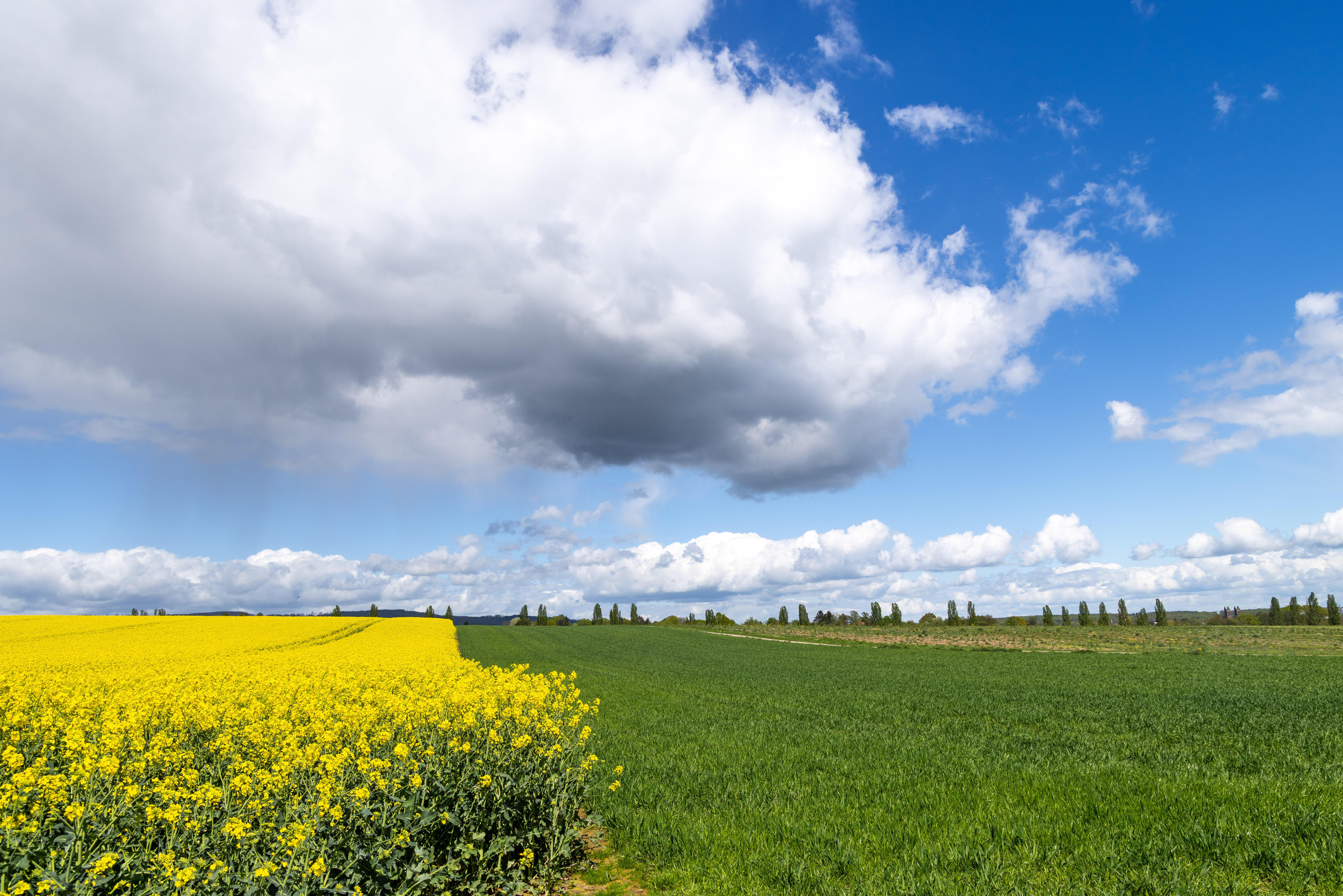 Wolken und Schauer über Feldern