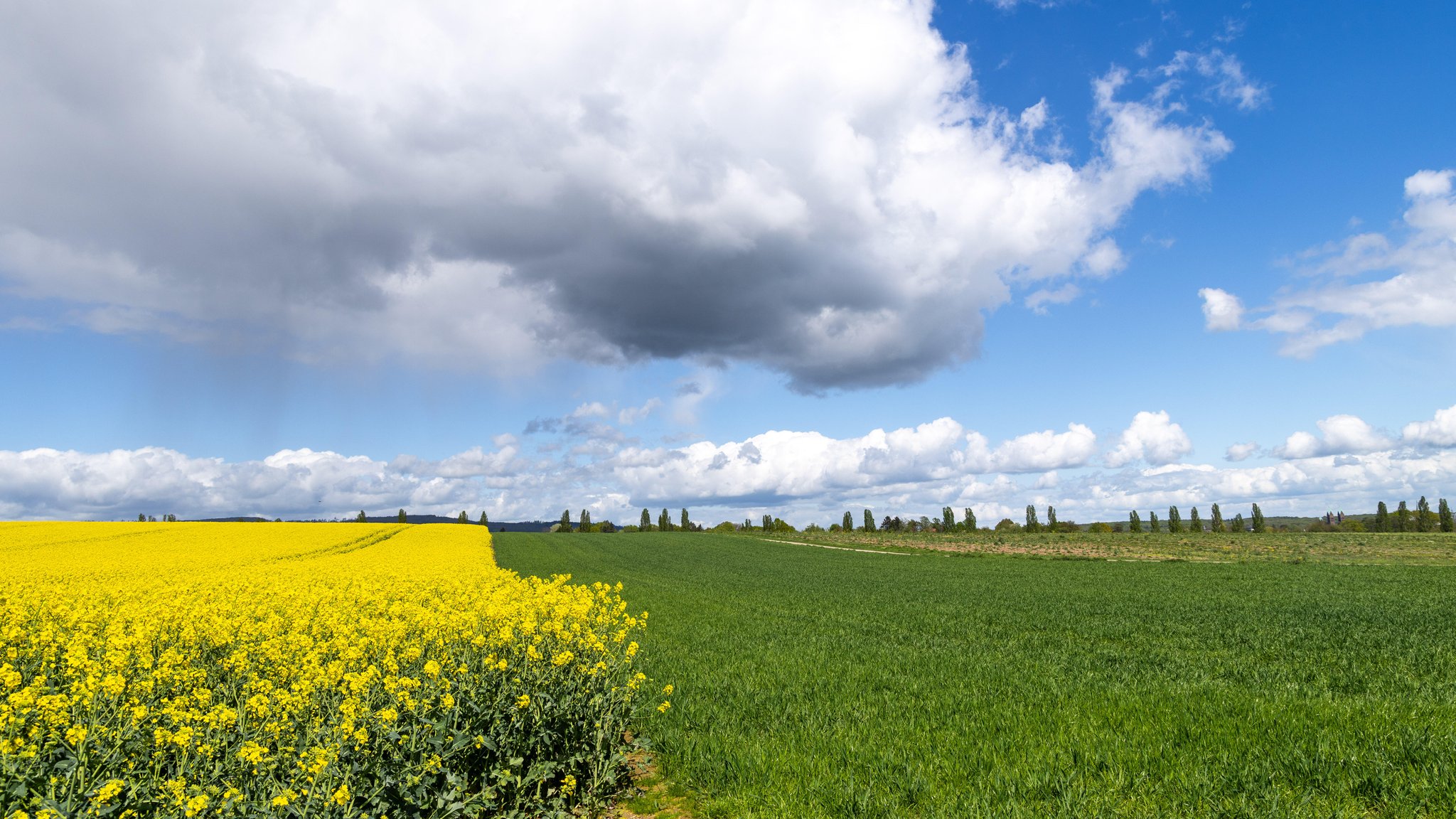 Wolken und Schauer über Feldern