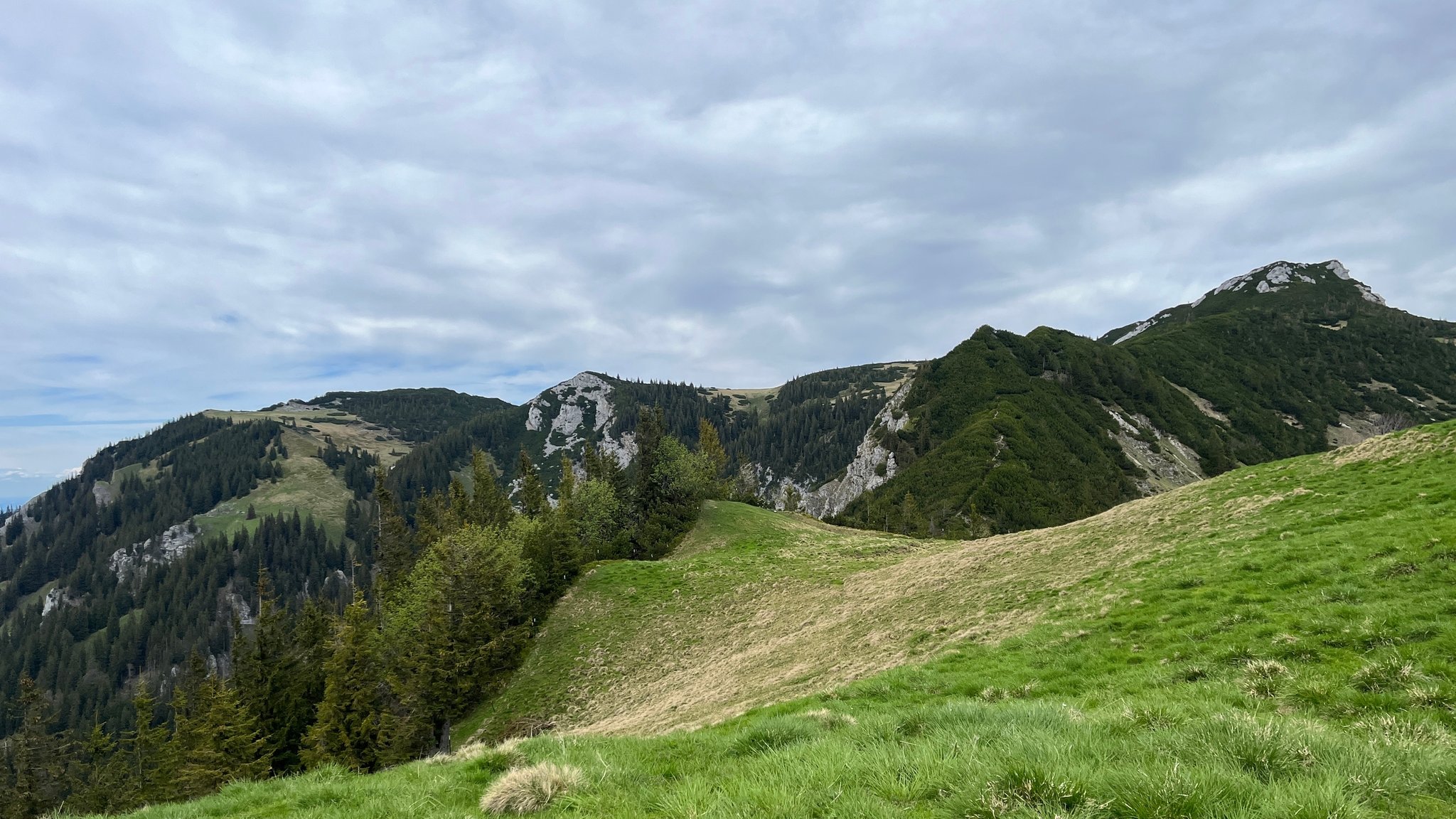 Geigelstein: Die Bergkämme um den Geigelstein sind wertvolle Lebensräume