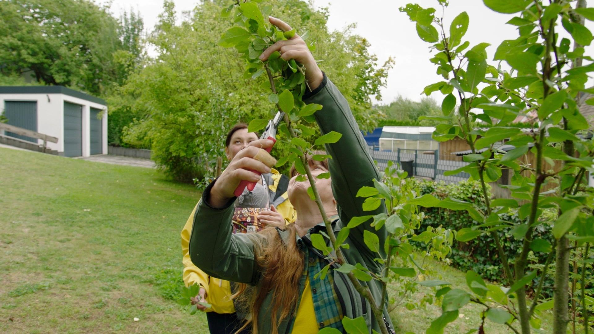 Sabrina Nitsche von dem Gartenmagazin Querbeet schneidet mit einer Gartenschere einen Ast ab.enbaum richtig zuschneidet.