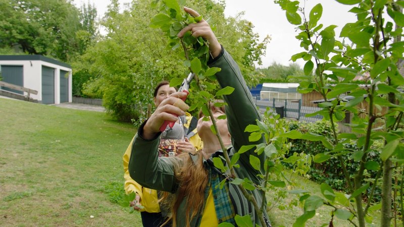 Sabrina Nitsche von dem Gartenmagazin Querbeet schneidet mit einer Gartenschere einen Ast ab.enbaum richtig zuschneidet. | Bild: BR Sabrina Nitsche von dem Gartenmagazin Querbeet schneidet mit einer Gartenschere einen Ast ab.enbaum richtig zuschneidet.