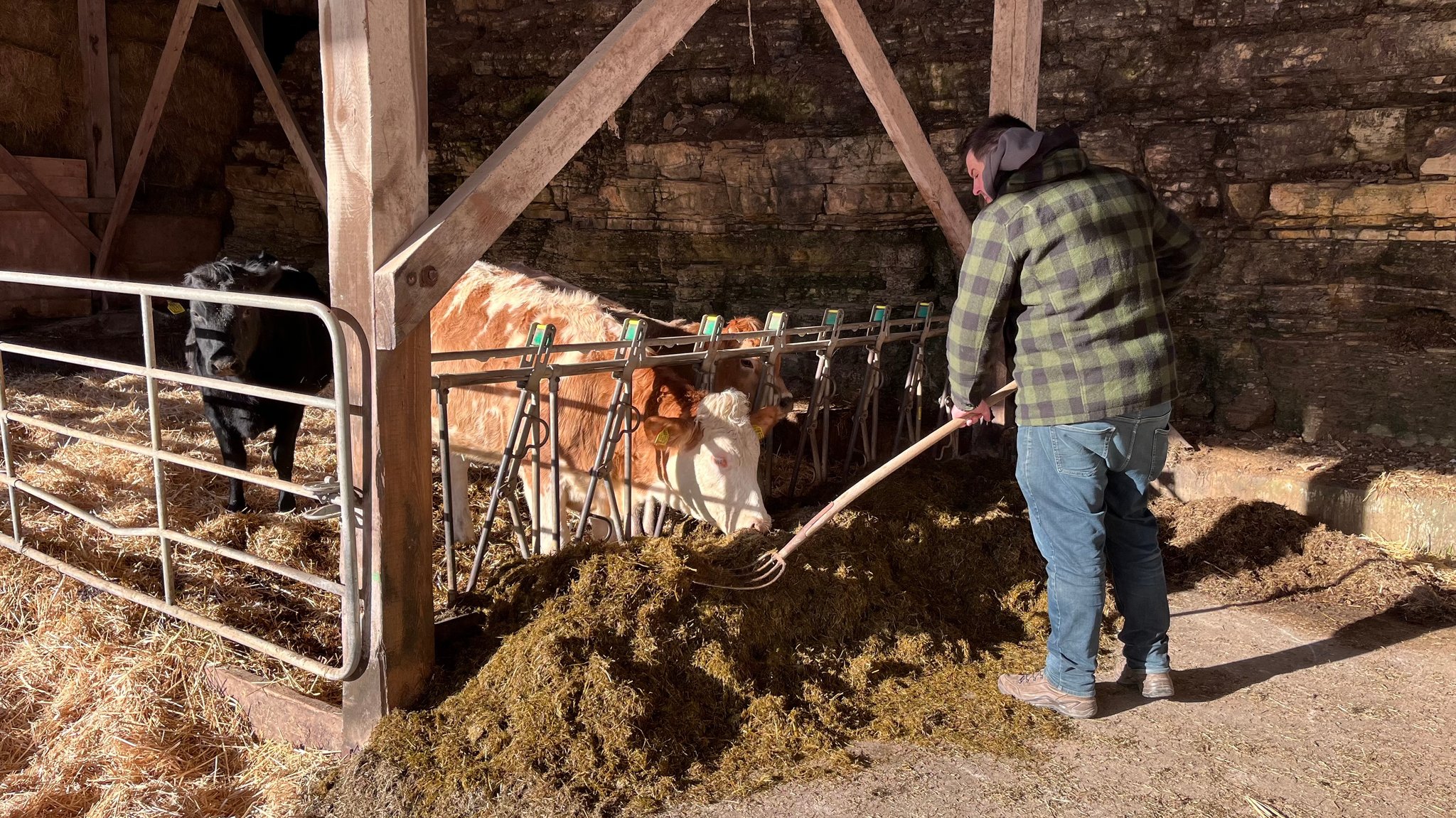 Zukunftsangst unter Landwirten: "...dann machen wir den Hof zu"