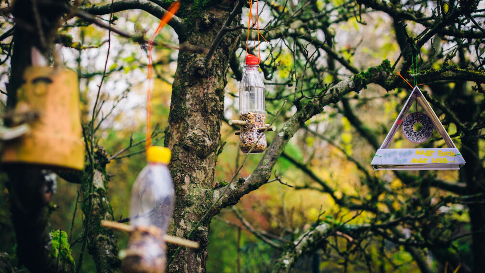 Selbstgebastelte Vogelhäuser im Baum.