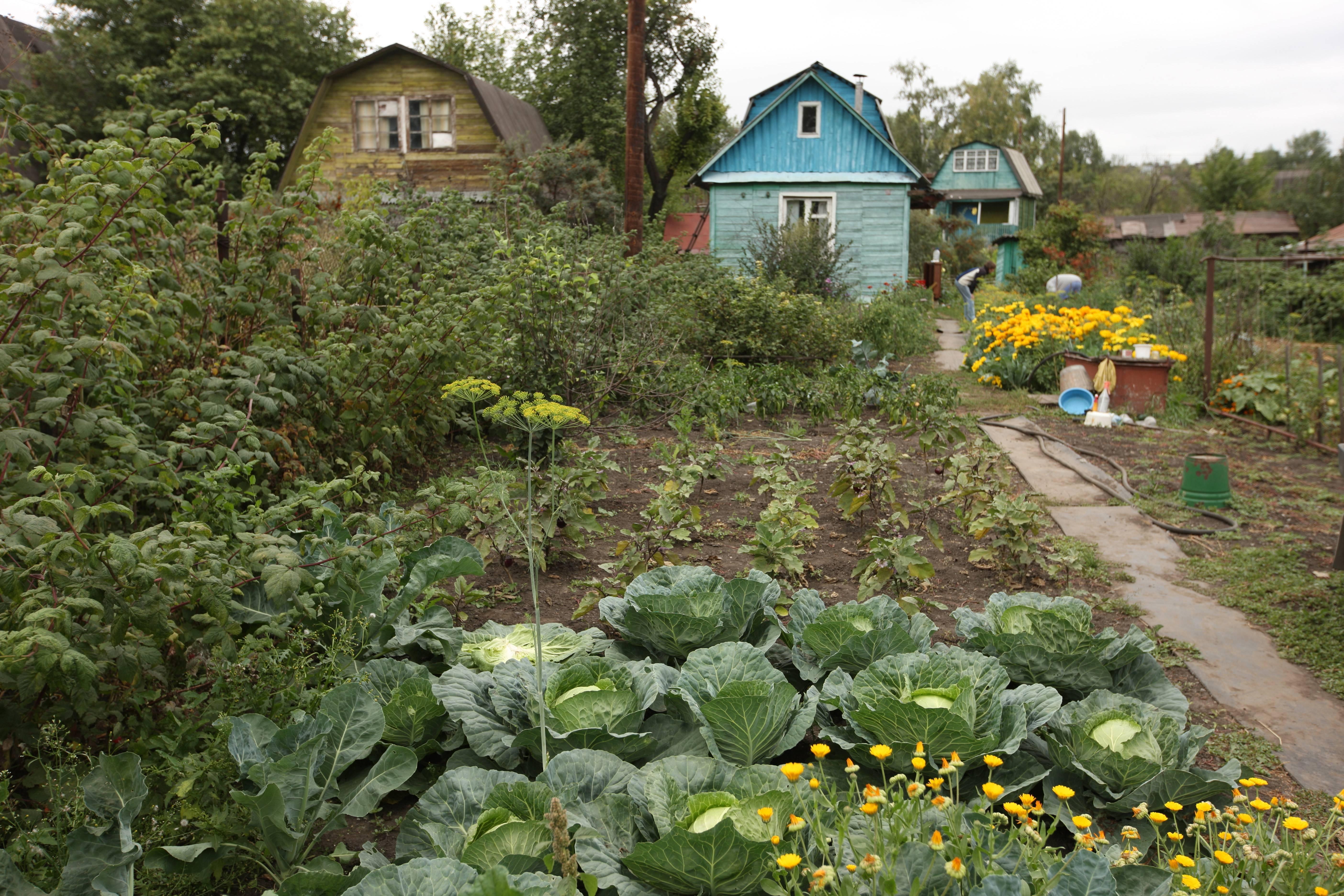 Corona In Russland Selbstisolation Auf Der Datscha Br24