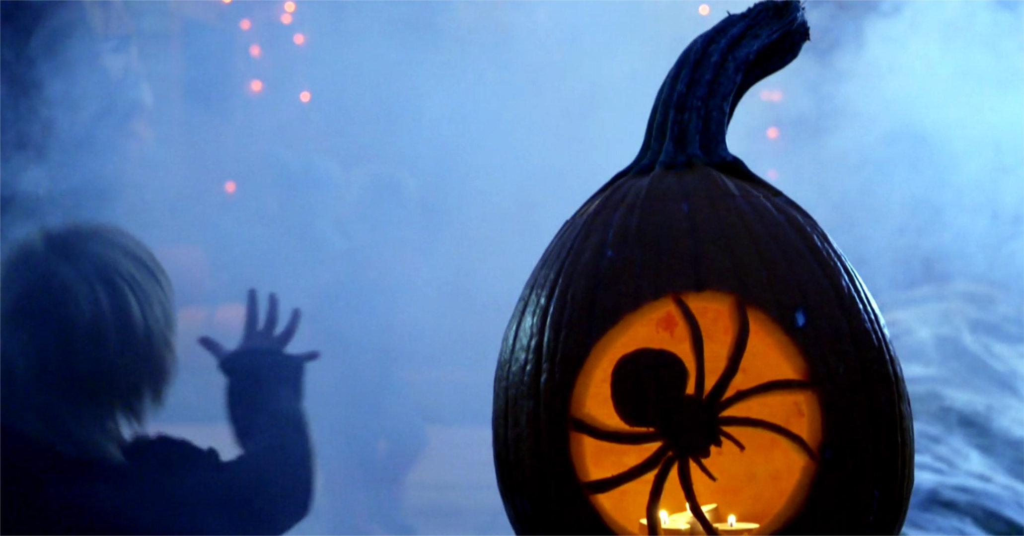 Ein beleuchteter Kürbis mit einer Spinnensilhouette