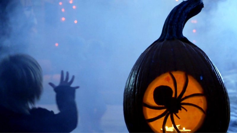 Ein beleuchteter Kürbis mit einer Spinnensilhouette | Bild: BR Ein beleuchteter Kürbis mit einer Spinnensilhouette