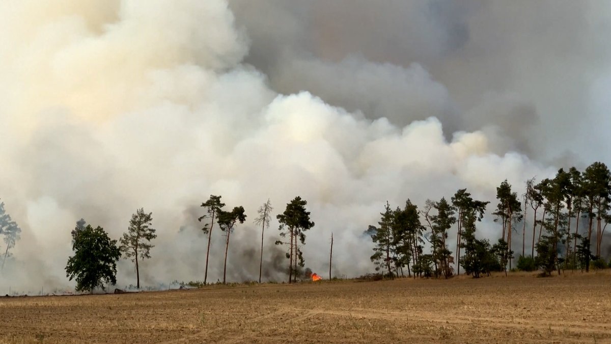 Sturmböen haben das Feuer in einem Wald in Brandenburg auf 800 Hektar ausgebreitet. 