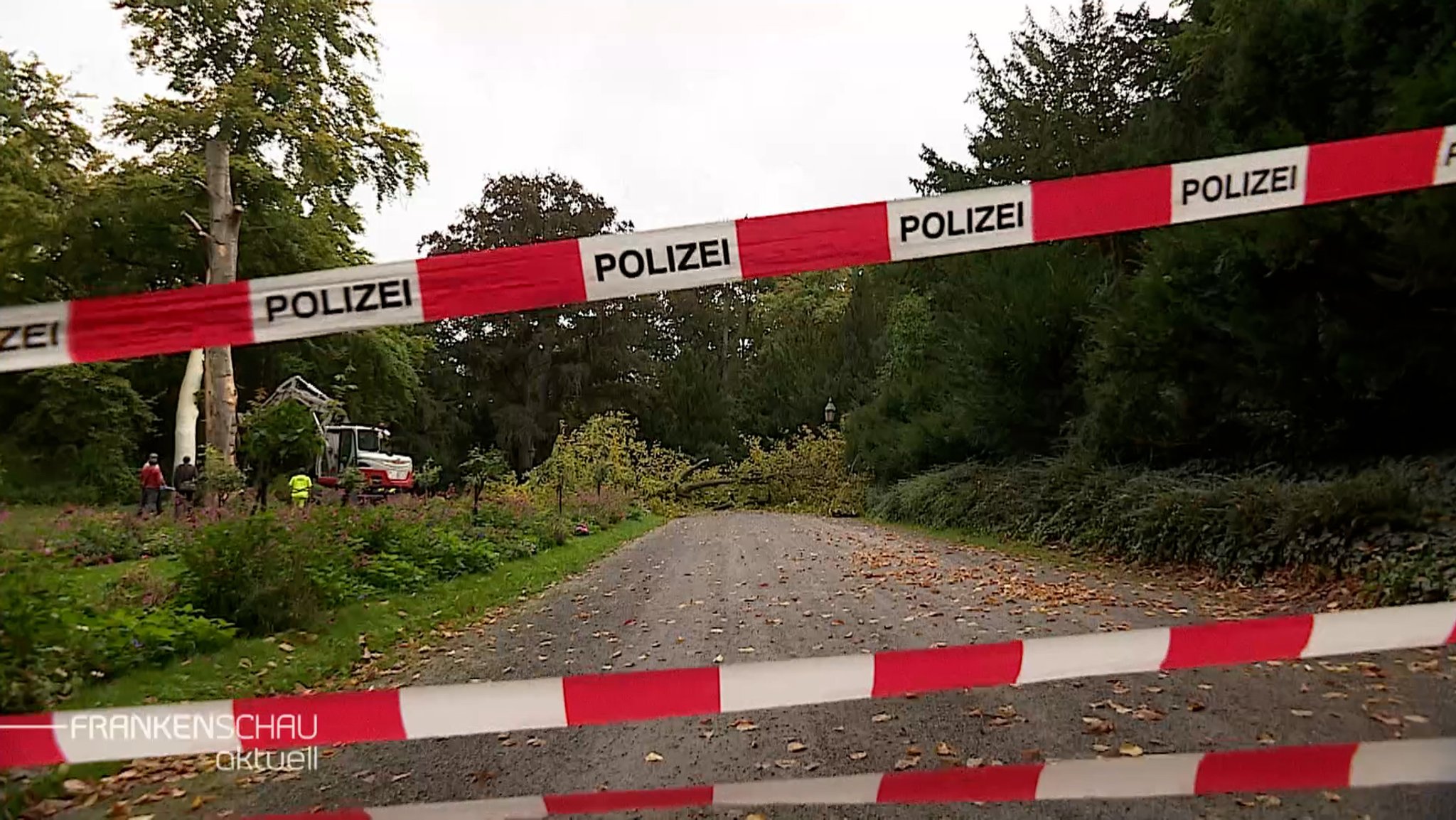 Umgefallener Baum im Ringpark mit polizeilicher Absperrung.