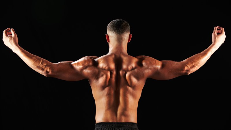 Rückenansicht eines muskulösen Mannes 