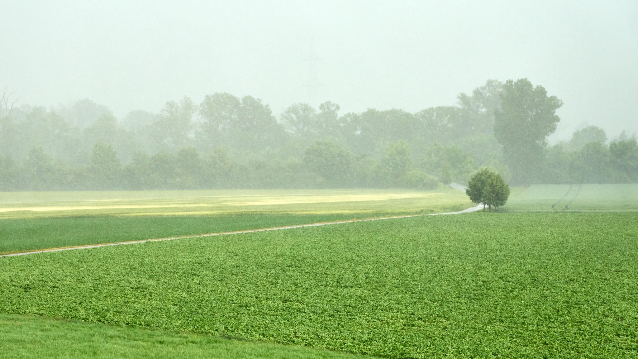 Ein dichter Regenschauer zieht über eine bayerische Landschaft mit Wiesen und Feldern.