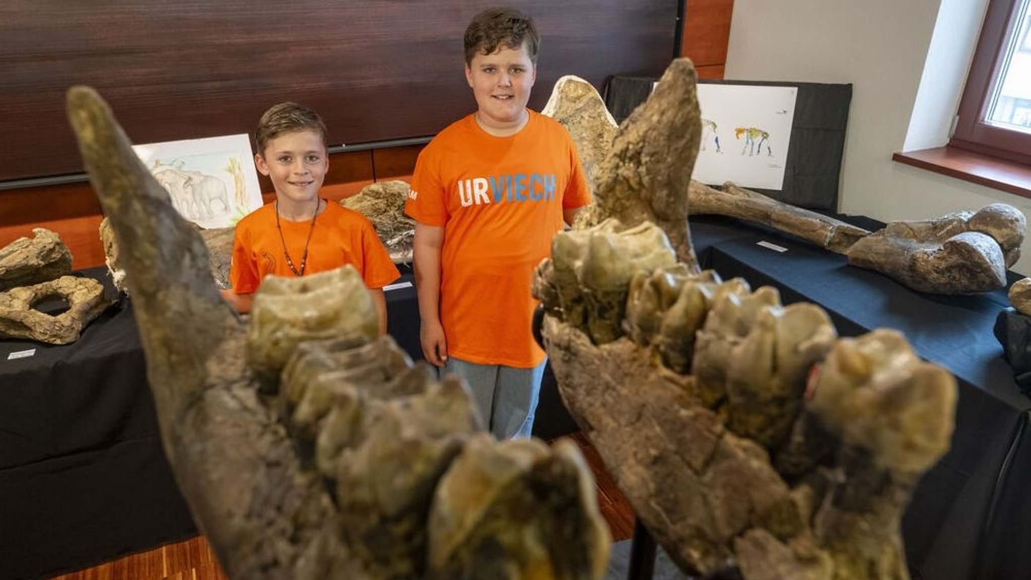 Die beiden Mitentdecker Constantin und Alexander Kapustin, Söhne des Museumsleiters des Urzeitmuseum Peter Kapustin, stehen im Rathaus Taufkirchen an der Vils, zwischen den diversen Funden zur Entdeckung eines Urelefanten-Friedhofs im Landkreis Erding. 