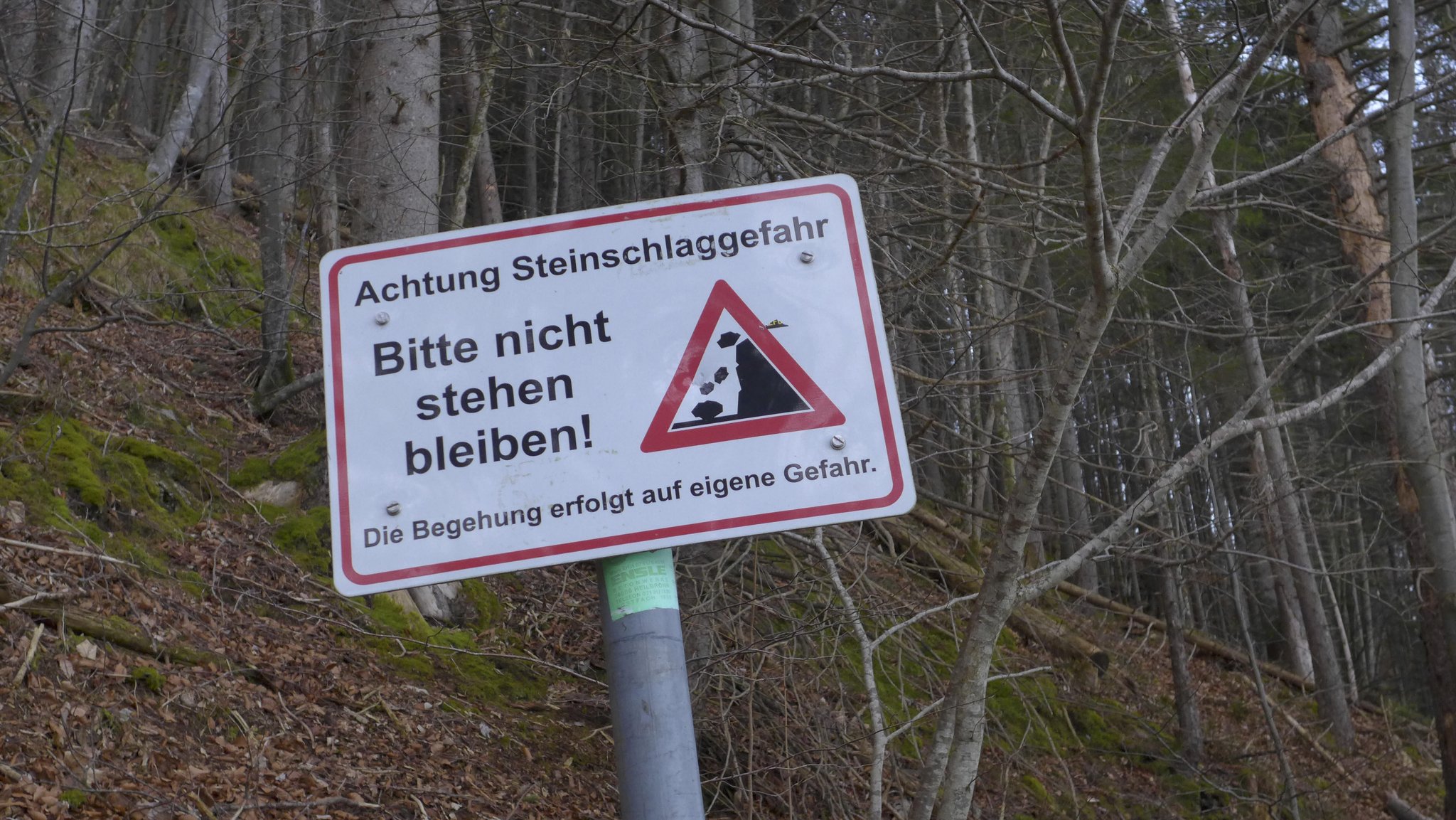 Warnschild Steinschlaggefahr | Bild: picture alliance / blickwinkel/M. Henning | M. Henning Warnschild Steinschlaggefahr