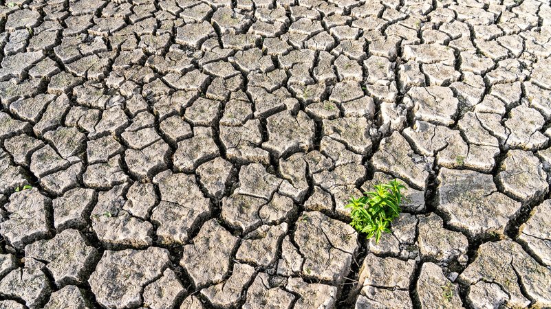 Ausgetrocknetes Flussbett | Bild: picture alliance / Jochen Tack | Jochen Tack Ausgetrocknetes Flussbett