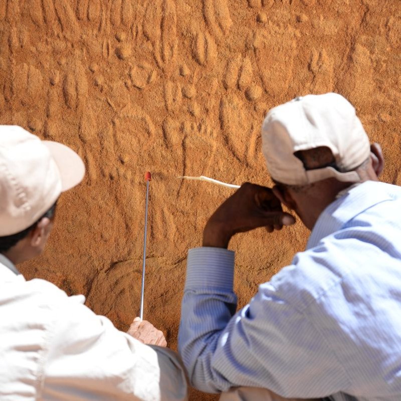 Fährtenleser helfen Archäologen – Felskunst in Namibia auf der Spur - IQ - Wissenschaft und Forschung | BR Podcast