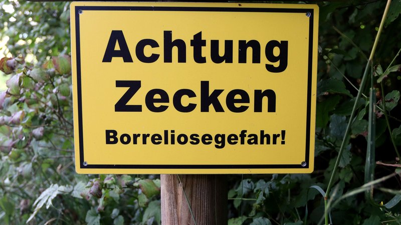 Ein gelbes Schild im Grünen mit der Aufschrift: Achtung Zecken: Borreliosegefahr | Bild: picture alliance / Wagner | Ulrich Wagner Ein gelbes Schild im Grünen mit der Aufschrift: Achtung Zecken: Borreliosegefahr