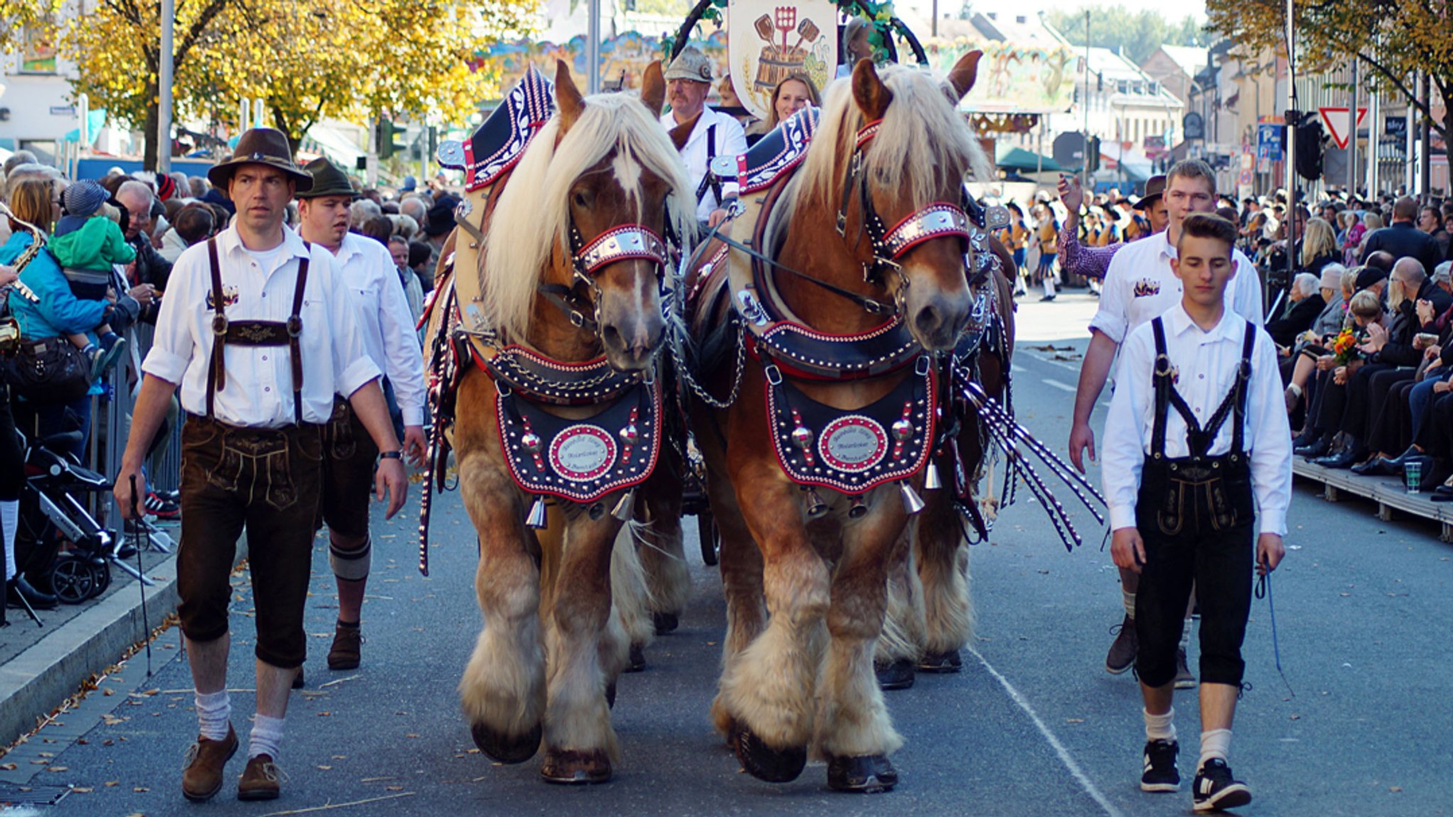 Brauereipferde der Kutsche Bürgerbräu Hersbruck beim Erntedankfestzug in Fürth im Jahr 2025 (Archivbild). | Bild: BR/Henry Lai Brauereipferde der Kutsche Bürgerbräu Hersbruck beim Erntedankfestzug in Fürth im Jahr 2025 (Archivbild).