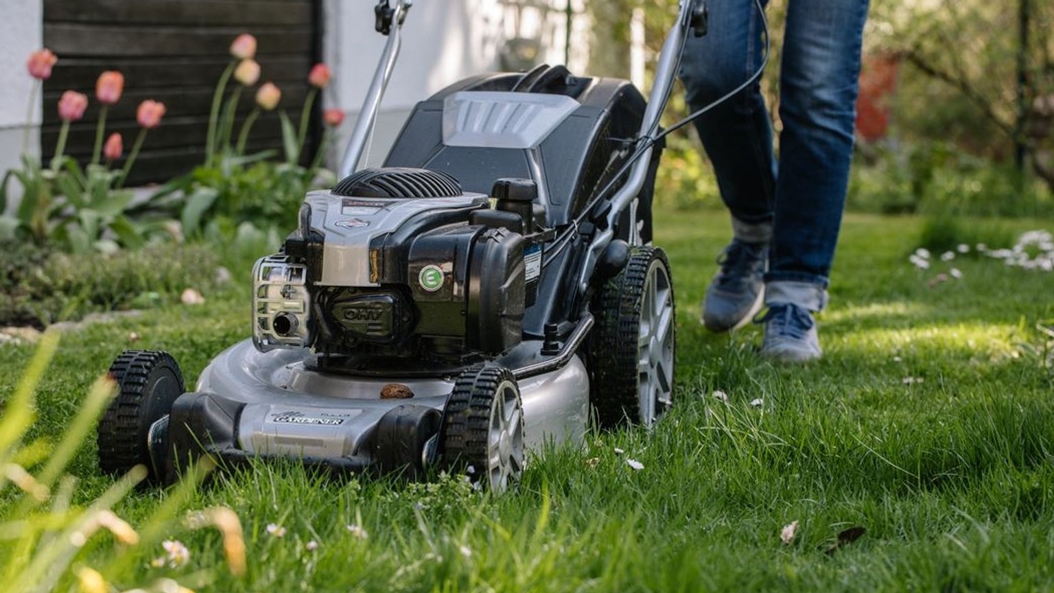 Rasenmähen Was ist an Sonn und Feiertagen im Garten erlaubt? BR24