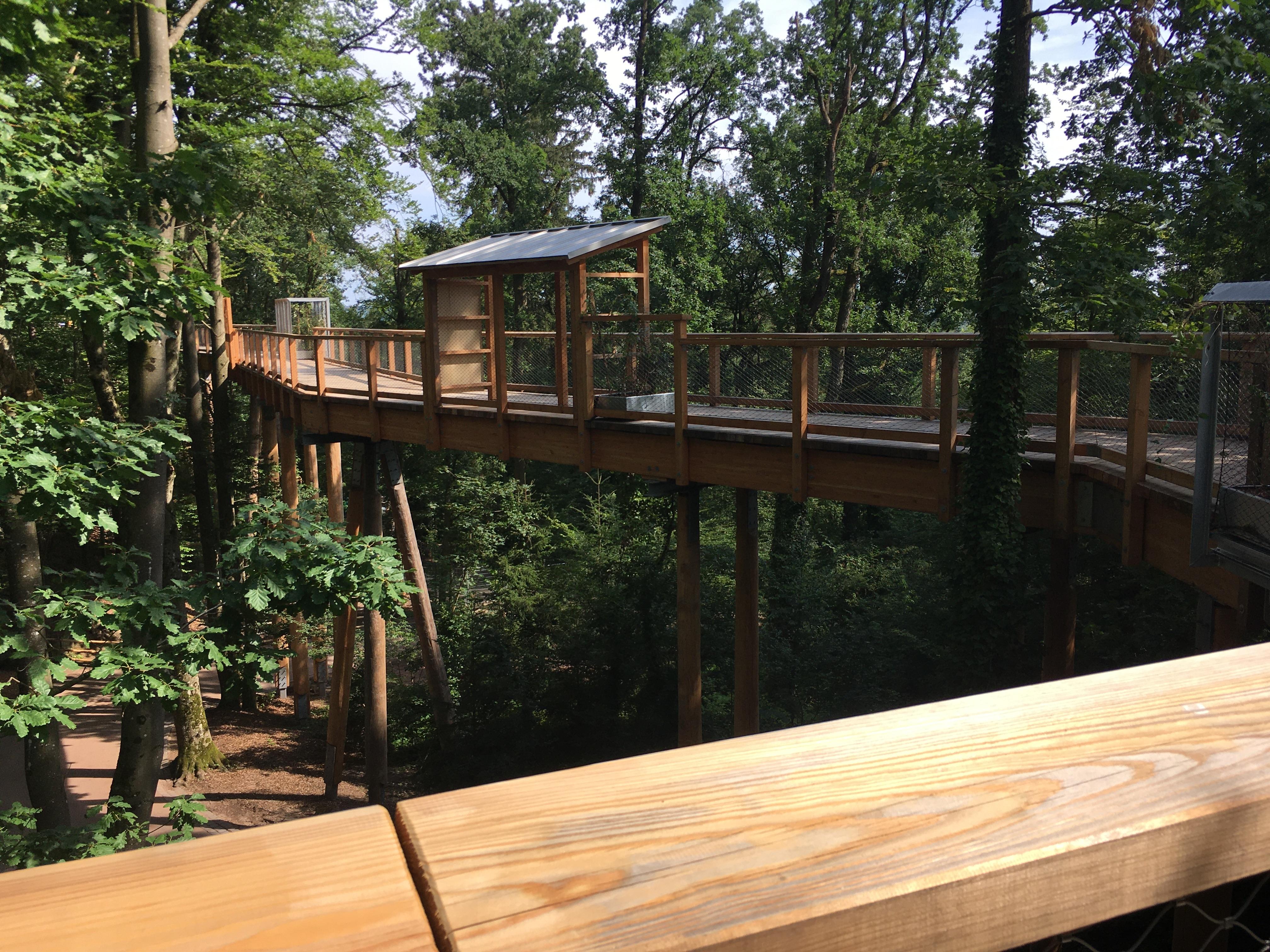 Der neue Klimawaldpfad im Tiergarten Nürnberg