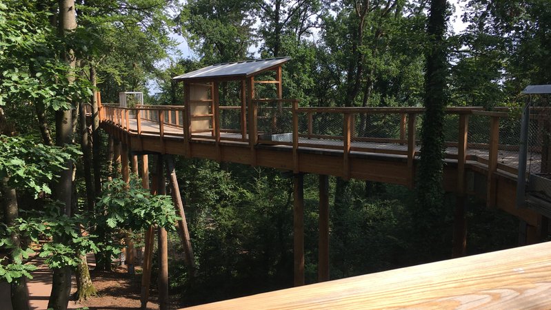 Der neue Klimawaldpfad im Tiergarten Nürnberg | Bild: BR24/Tobias Burkert Der neue Klimawaldpfad im Tiergarten Nürnberg