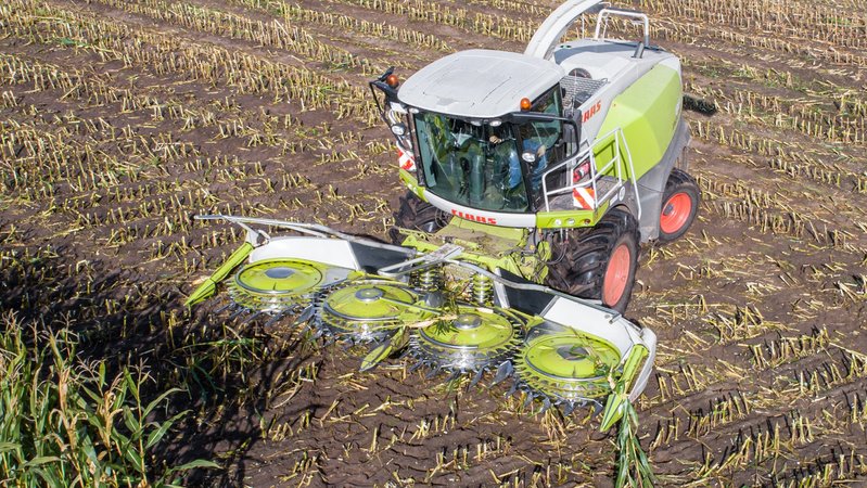 Maishäcksler bei der Ernte | Bild: picture alliance / countrypixel Maishäcksler bei der Ernte