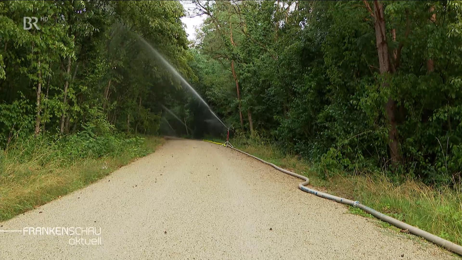 Wald wird mit Wasser besprüht.