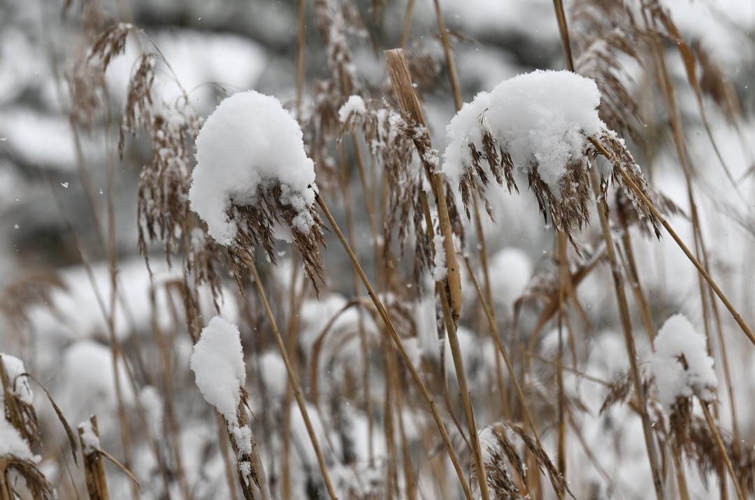 Winterwetter: Schnee Zum Ferienende In Bayern | BR24