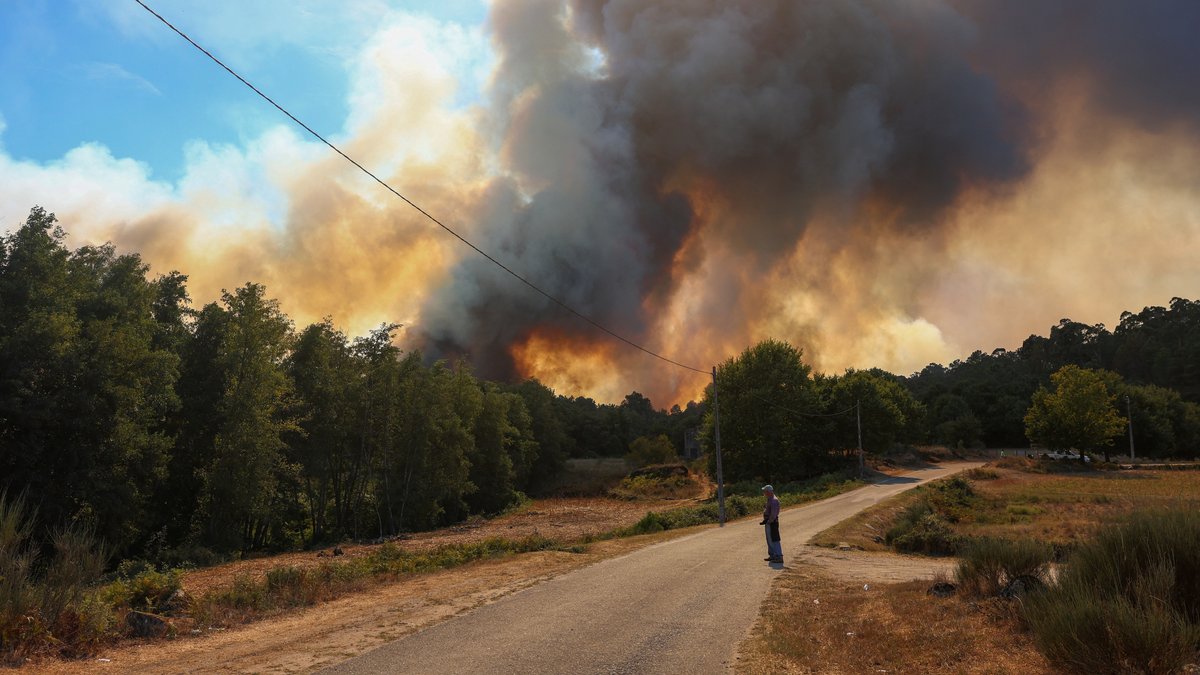 Tote bei Waldbränden in Portugal